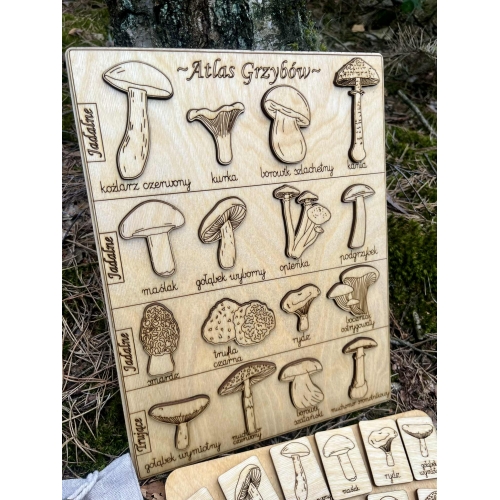 Drewniana układanka "Atlas Grzybów"